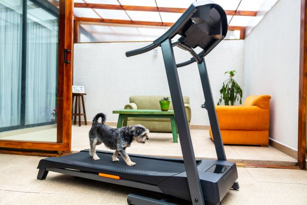 Treadmill Installation in Little Rock