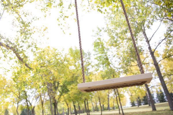 Tree Swing Installation in Little Rock
