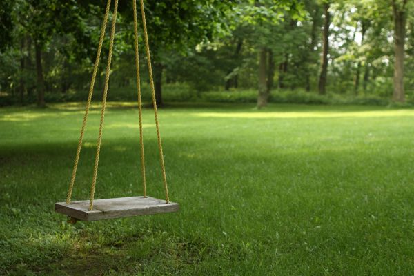 Rope Swing Installation in Little Rock