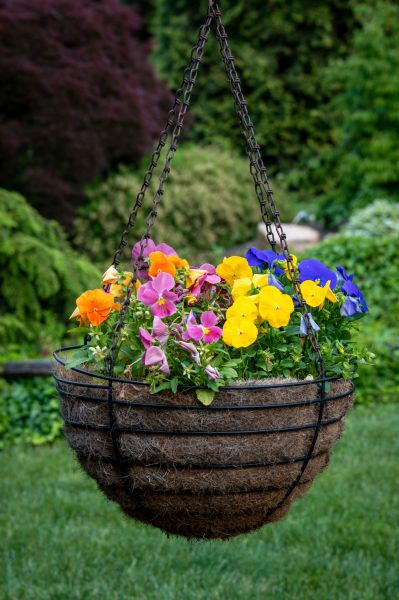 Hanging Basket Installation in Little Rock