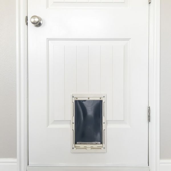 Pet Door Repair in Little Rock