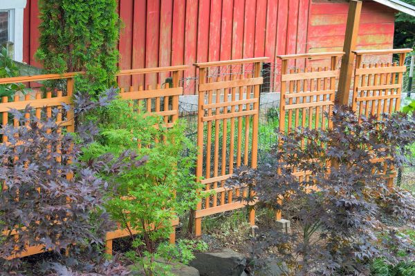 Wood Trellis Mounting in Little Rock