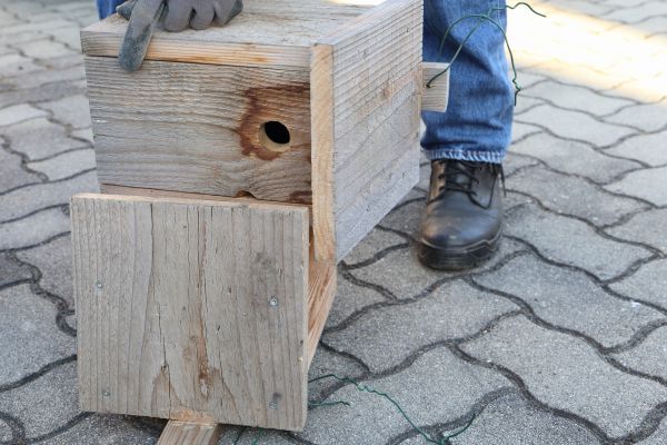 Birdhouse Mounting in Little Rock