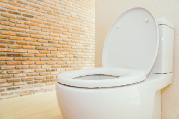 Toilet Seat Repair in Little Rock